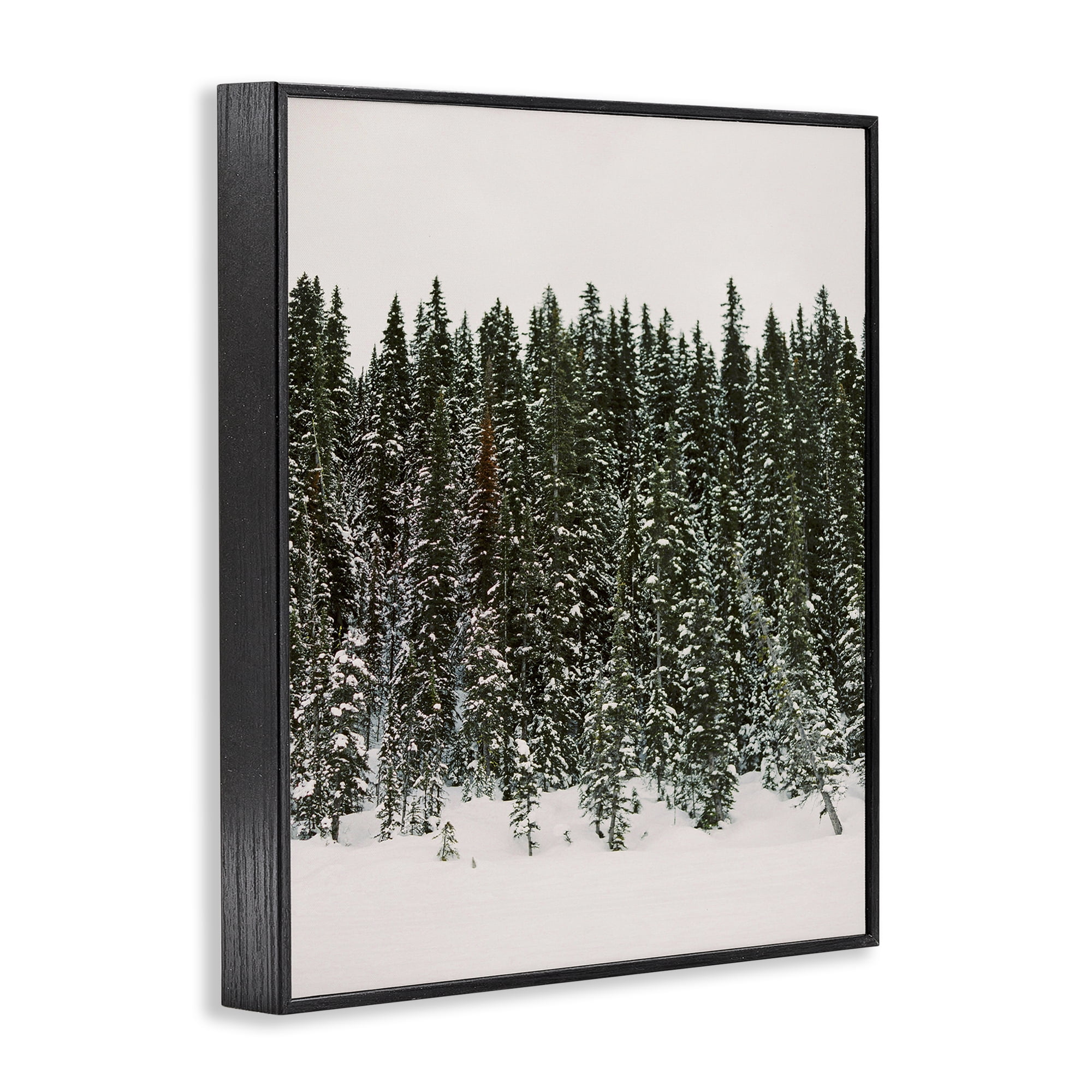 Stupell Industries Winter Forest Grove Landscape Photography Black Framed Art Print Wall Art, 24 x 30