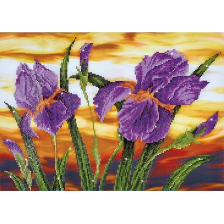 UPC: 4897073243665 | DIAMOND DOTZ® Iris Sunset Diamond Painting Kit