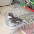 thumbnail image 5 of Bañera Para Pájaros Y Loros, Suministros De Baño Para Loros, Jaula Para Bañera Para Pájaros, Suministros Para Mascotas, Baño Para Pájaros, Ducha, Cubo De Pie, Espacio De Lavado Eigraketly PT001504-02, 5 of 5