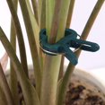 thumbnail image 4 of Clip Reutilizable Para Jardín De Plantas, Clips De Fijación De Tallos De Plantas, Clips Para Plantas Trepadoras, Abrazaderas De Tomate, Utilizados Para Plantas, Flores, Verduras, Enredaderas, 2 Tamañ, 4 of 5