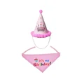 thumbnail image 1 of Conjunto de gorro de cumpleaños para bufanda para mascotas, bufanda para gorro de fiesta para perros, regalo de cumpleaños ideal para mascotas (1 pieza, rosa), 1 of 5