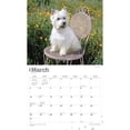 thumbnail image 3 of The Beauty of West Highland White Terriers | 2024 14x24" Wall Calendar | StarGifts, 3 of 8