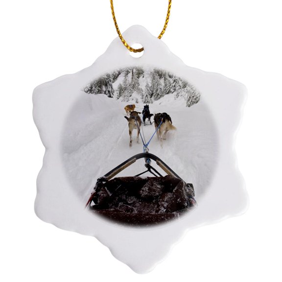 3drose, British Columbia, Whistler, Dog Sled Adventure-cn02 Tdr0076 - Trish Drury, 3 inch Snowflake Porcelain Ornament