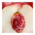 thumbnail image 3 of Nectarina blanca por kilo, 3 of 3