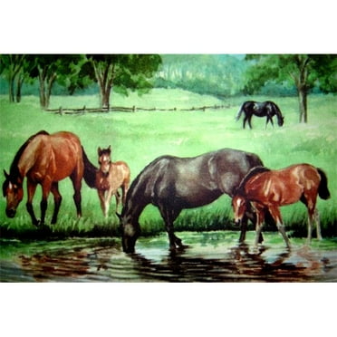 Custom Printed Rugs AWV065 Horse Pond Doormat Rug, Green - 18 x 30 in.