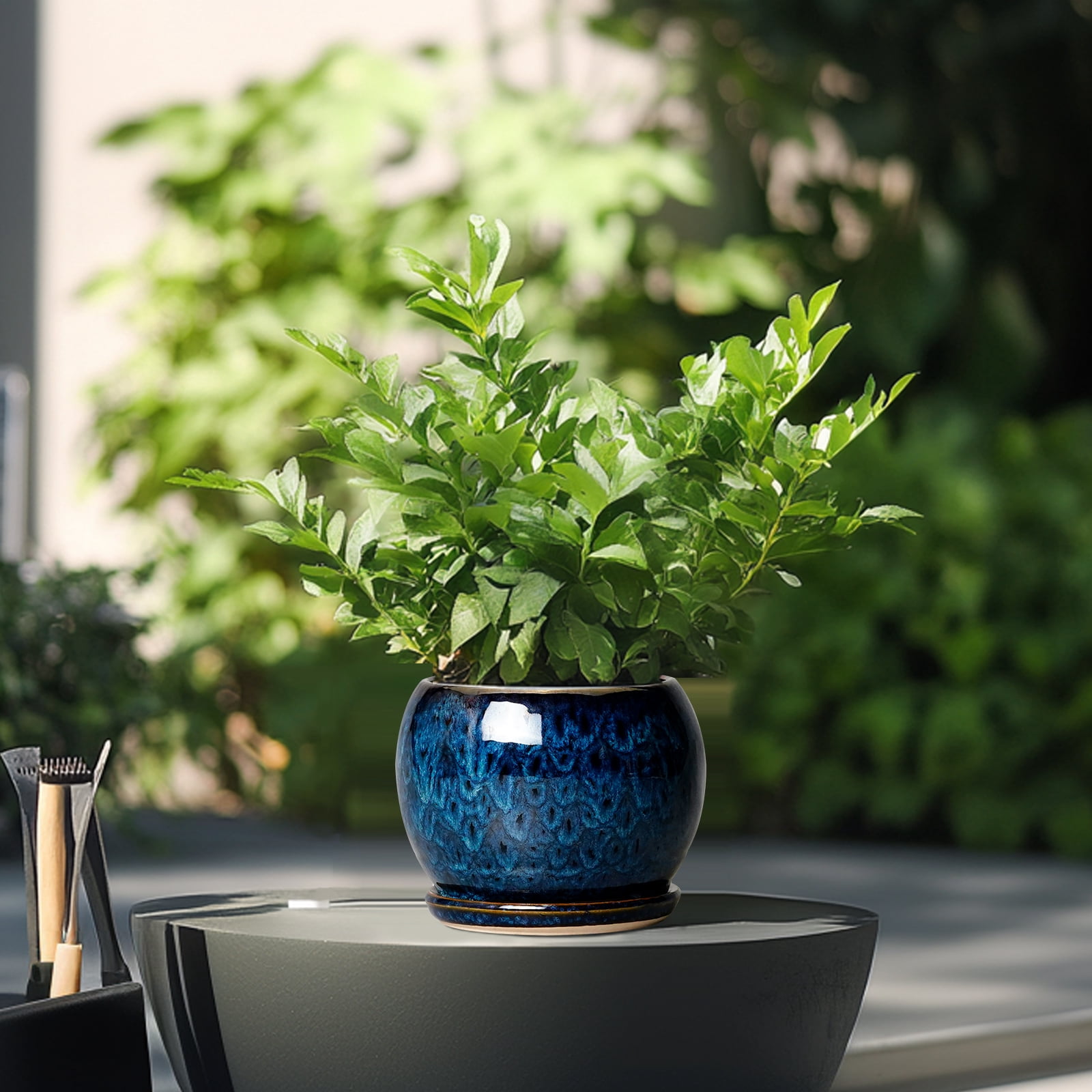 Ordivic 6 inch Blue Glaze Ceramic Plant Pot with Drainage Hole & Saucer, Small Decorative Flower Pots for Succulents & Herbs, Home Decor