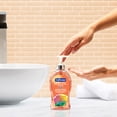 thumbnail image 3 of Softsoap Antibacterial Liquid Hand Soap, Crisp Clean Scent, 332 ml Bottle, 3 of 9