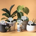 thumbnail image 6 of 15 Pcs Funny Phrases Plant Labels 15 Styles Acrylic Succulent Cactus Pattern Potted Plant Markers, 6 of 9