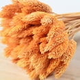 thumbnail image 3 of Coofit Dry Flower Branch DIY 24PCS Simple Natural Dried Grass Stem Dry Grass Decor, 3 of 8