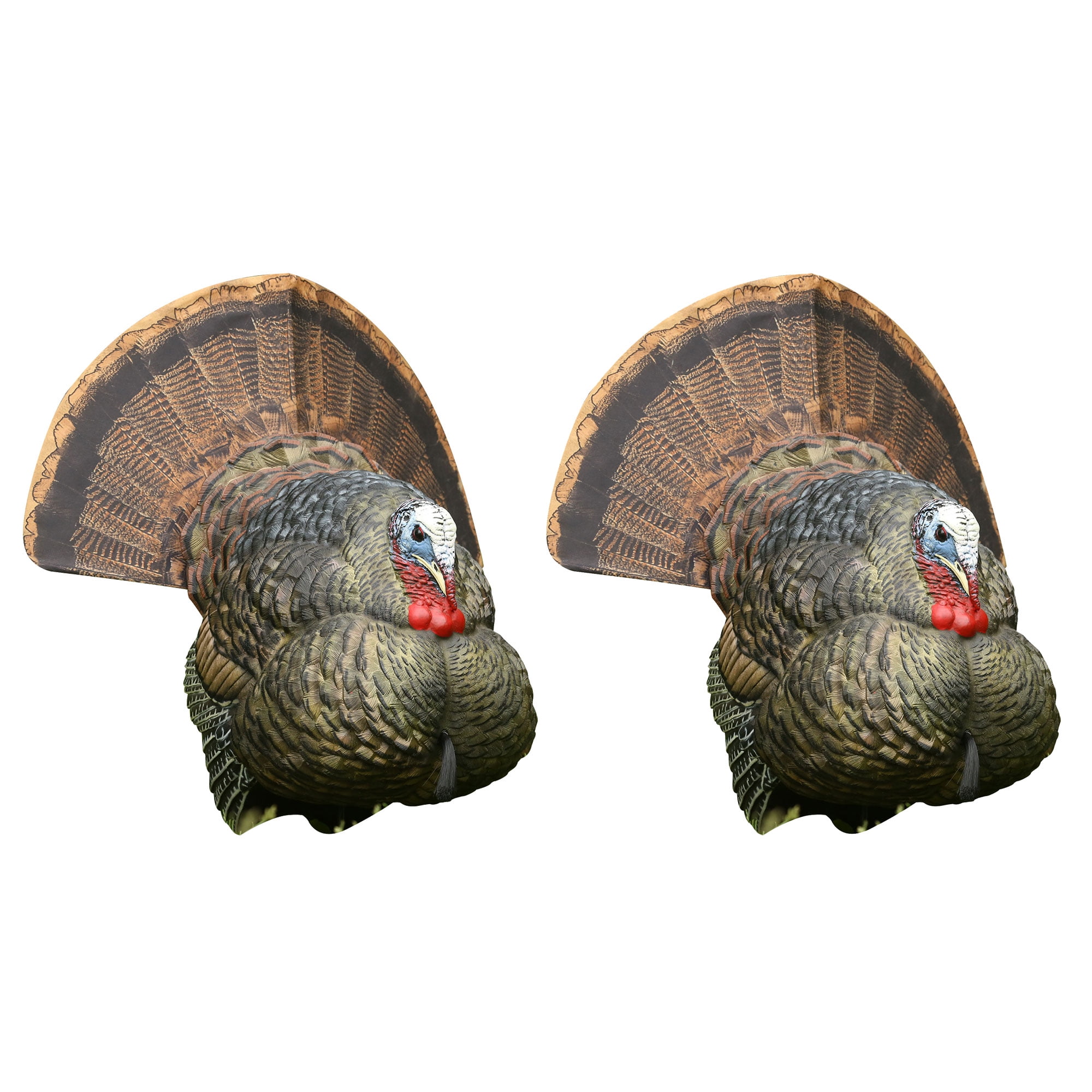 AvianX Strutter Collapsible Decoy LCD Folding Tom Turkey Hunting Decoy