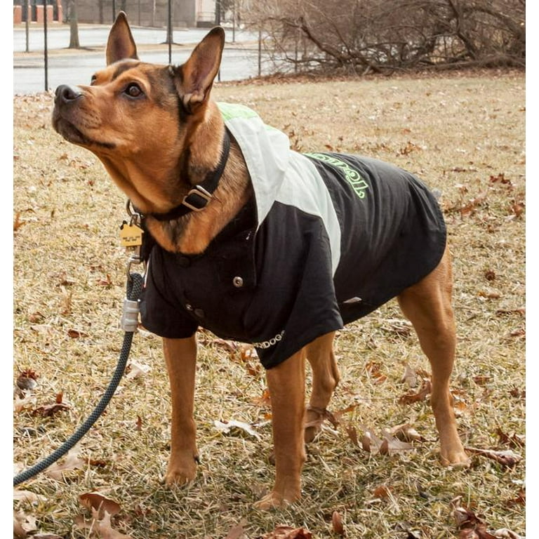 Dog ski hotsell jacket