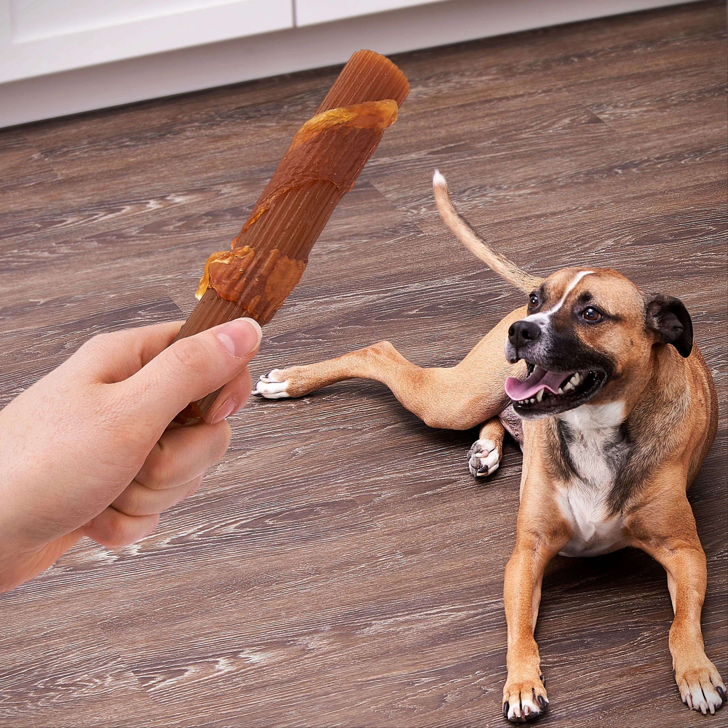 (4 pack) Ol' Roy Chicken & Peanut Butter Flavor Stick Treats for Dogs, 8.47 oz, 4 Count