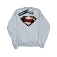 thumbnail image 1 of DC Comics Boys Justice League Movie Superman Emblem Sweatshirt, 1 of 5