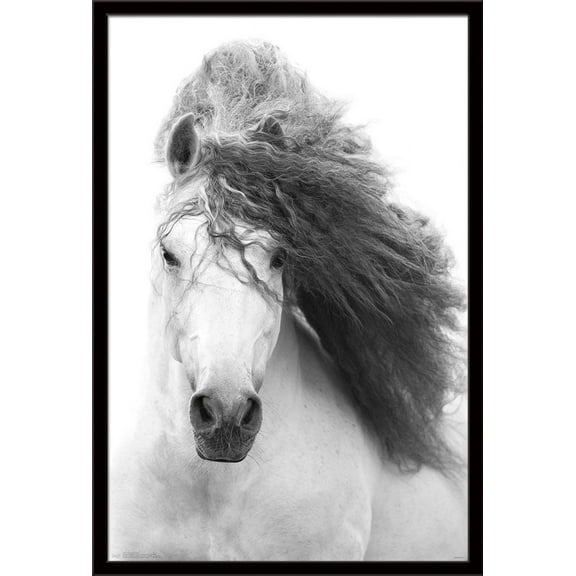 Grayscale Horse Wall Poster, 22.375" x 34", Framed