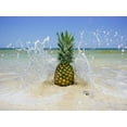 thumbnail image 2 of Mead, Adam 24x19 Black Ornate Wood Framed with Double Matting Museum Art Print Titled - South Florida Pineapple III, 2 of 4