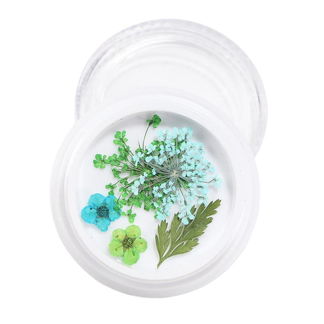 3D Real Dry Acrílico Nail Decoración con caja 4 jinwen Flor seca de uñas