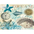 thumbnail image 3 of Allen, Candace 18x15 Black Modern Framed Museum Art Print Titled - Dream Shells R1, 3 of 5