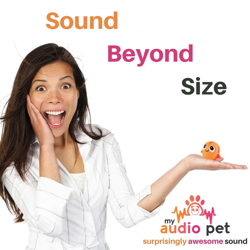 my audio pet walmart