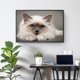 thumbnail image 2 of Cuadros Decorativos 5D diamante bordado Birman gato mosaico redondo diamante pintura para arte de cuentas JShteea Nuevos Originales, 2 of 9