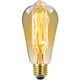 thumbnail image 1 of Bombilla incandescente, paquete de 4 bombillas vintage E27 Edison regulable ST64, 40 W, 2700 K, luz blanca cálida, bombilla antigua clásica para lámpara de mesa con jaula de ardilla, oficina, 1 of 5