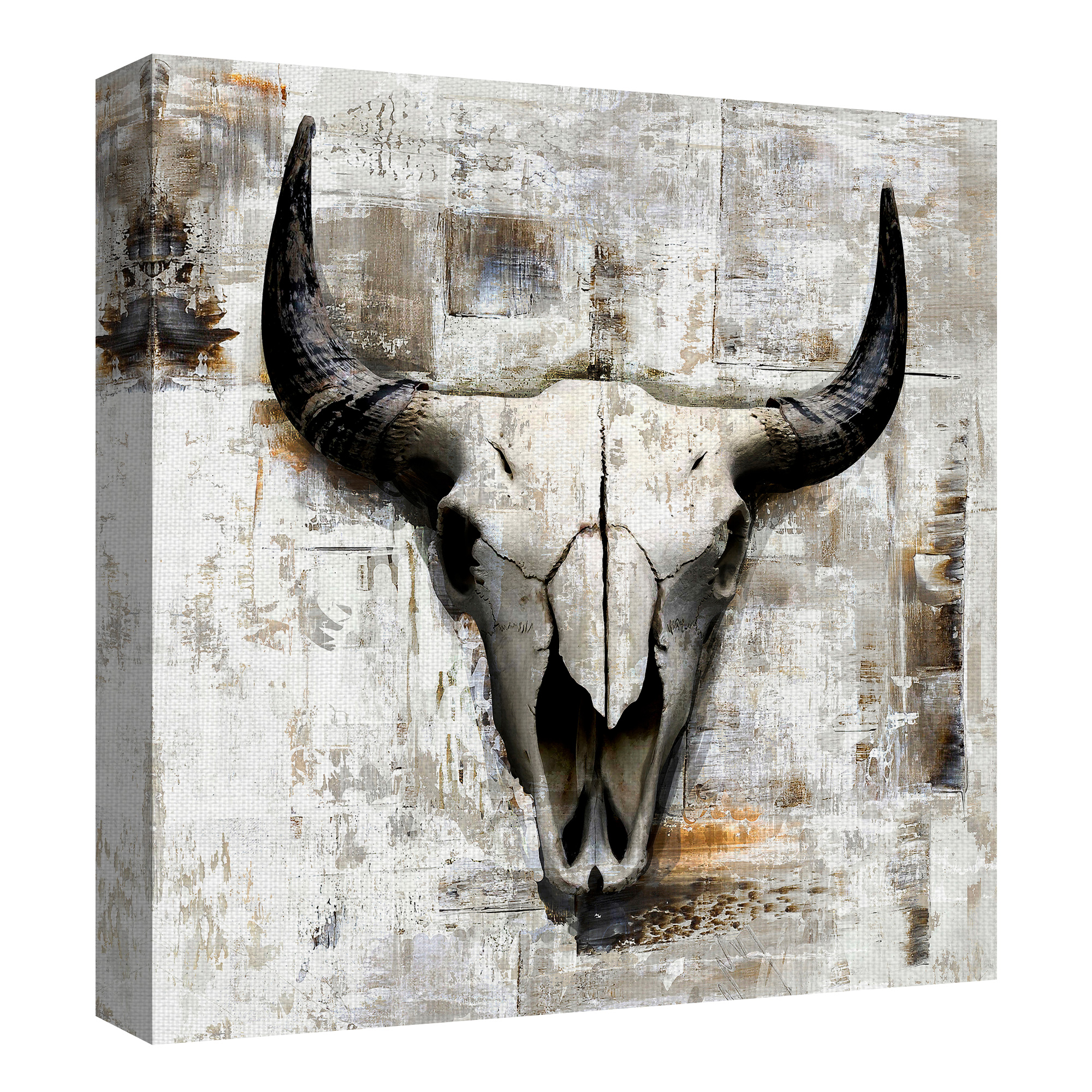Masterpiece Art Gallery White Cowskull By GraphINC Canvas Art Print 35" x 35"