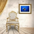 thumbnail image 3 of Gabriel, Barathieu 24x17 Gold Ornate Wood Framed with Double Matting Museum Art Print Titled - Lionfish, 3 of 4