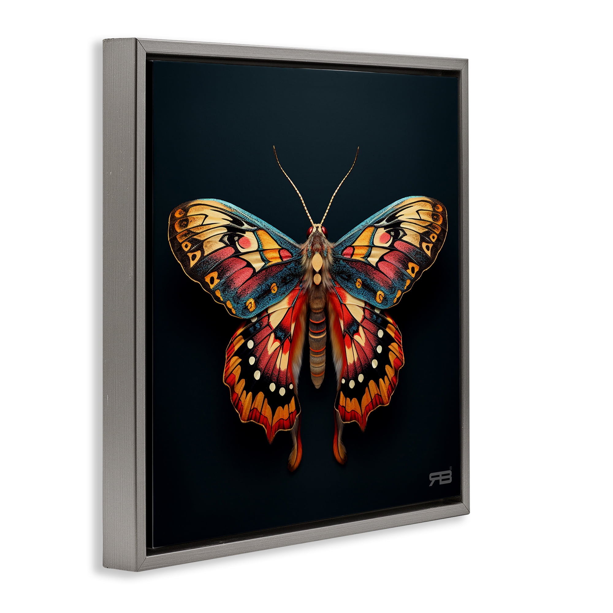 Stupell Industries Vivid Patterned Moth Animals & Insects Painting Gray Floater Framed Canvas Art Print Wall Art, 18 x 18