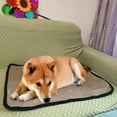 thumbnail image 1 of Dog Toilet Training Waterproof Pad Floor Sofa Fleece Protector Pet Bed Washable Reusable Dog Bed Mats Dog Urine Pad Puppy Pee Fast Absorbing Pad Rug For Pet Training In Home Bed, 1 of 11