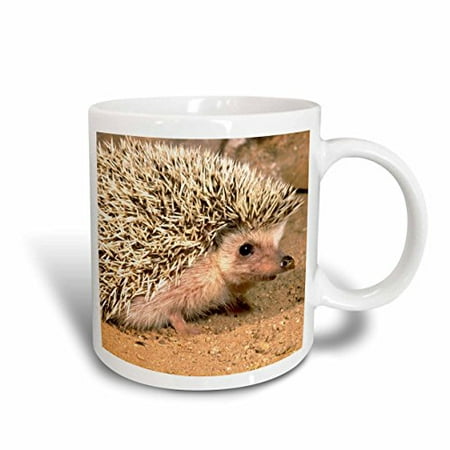 

3dRose African Hedgehog wildlife Native to Africa - NA02 DNO0400 - David Northcott Ceramic Mug 15-ounce