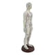 thumbnail image 4 of Modelo De Acupuntura Strade Fareast Limited 21,2 Pulgadas Masculino, 4 of 5