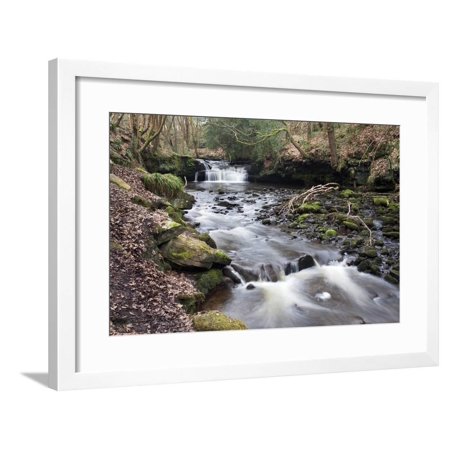 White Water Marks On Wood Waterfall on Harden Beck in Goitstock Wood, Cullingworth, Yorkshire, England, UK Framed Print Wall Art By Mark Sunderland ()
