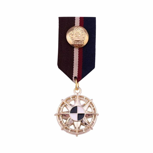 Striped Fabric Badge Medal Costume Accessory Jewelry Unique for Jacket Shirt Style B