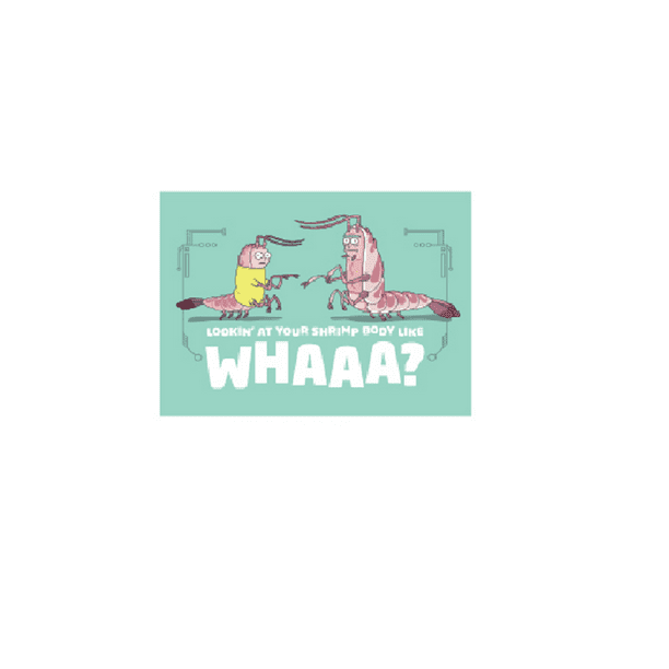 Rick Morty Magnet Officially Licensed Lookin At Your Shrimp Body Like Whaaa Refrigerator Fridge Magnet 2 5 X 3 5 Walmart Com Walmart Com