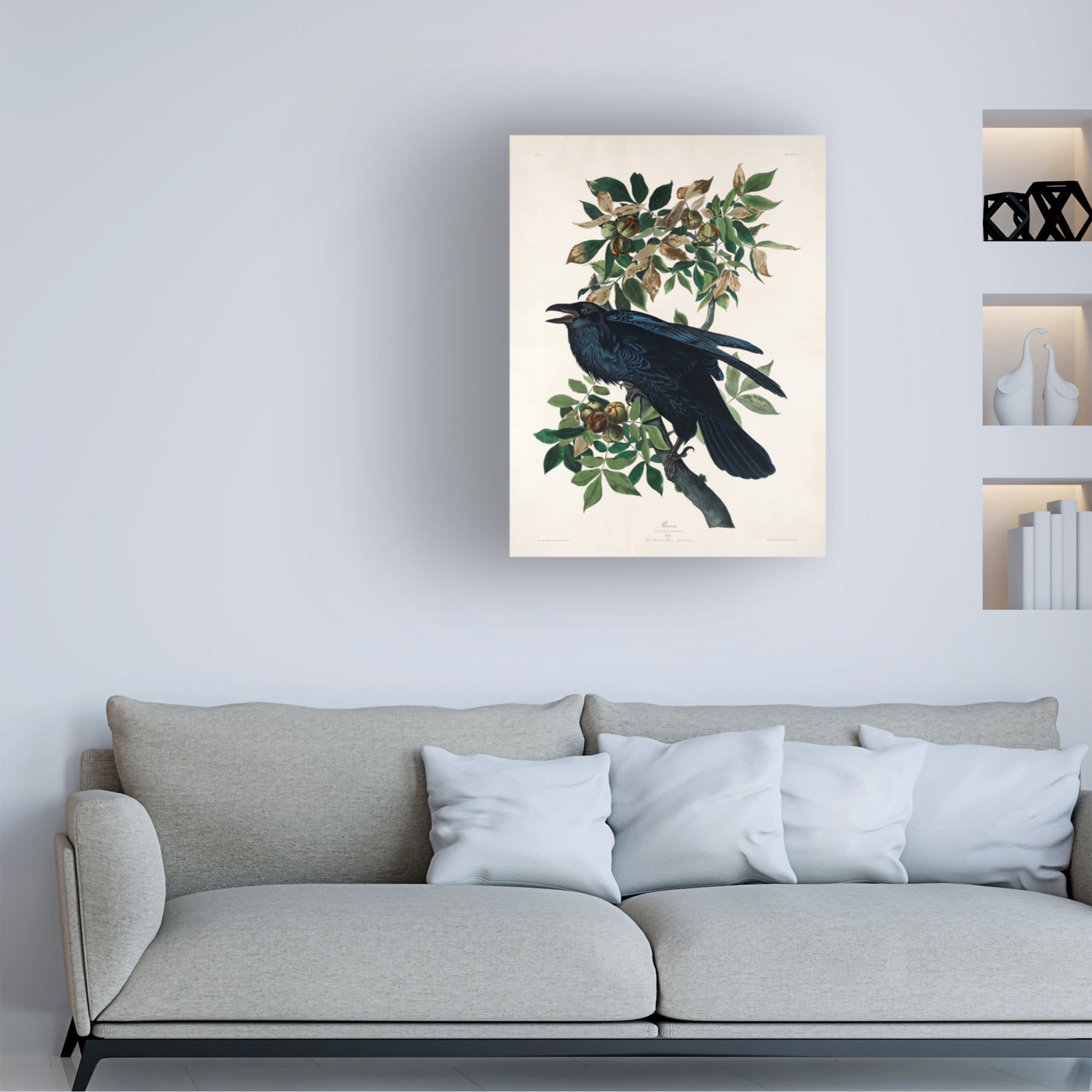 Trademark Fine Art Pictufy   Raven From Birds of America 1827 Canvas Wall Art