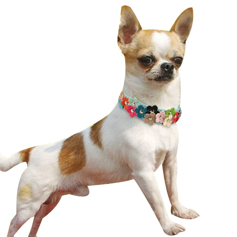 Cute Dog Collars For Small Dogs