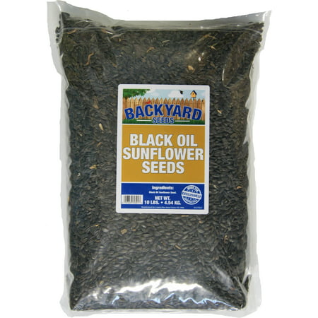 Backyard Seeds Black Oil Sunflower 10 Pounds (Best Sunflower Seeds For Oil)