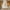 White, variant on Magazine Princess Dome Mosquito Net Mesh Bed Canopy Bedroom Decoration Luxury Princess Bed Canopy Mosquito Net for Girls, Teens or Over Baby Crib in Nursery