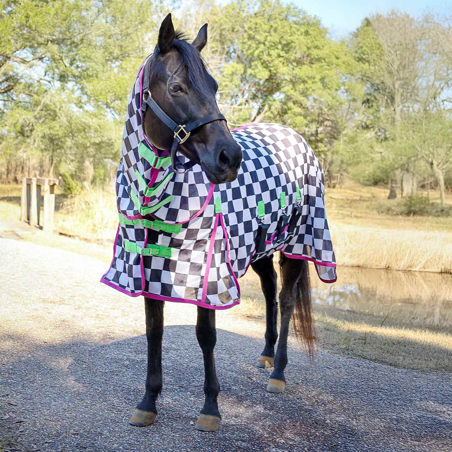 Jeffers Expression Soft Mesh Fly Sheet for Horses 66" - Skater Cowgirl, Lightweight Mesh Combo Neck Sheet, Breathable UV Protection, Summer Horse Blanket with Straps for Stable or Turnout