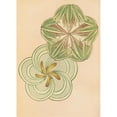 thumbnail image 3 of Korin Furuya (Editor) 14x18 Black Modern Framed Museum Art Print Titled - Bijutsukai Pl.110 (1901), 3 of 5