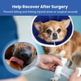 thumbnail image 4 of Adjustable Soft Dog Recovery Collar for Large, Medium, Small Dogs After Surgery. Stop Licking with Lightweight Neuter Cone Alternatives., 4 of 4