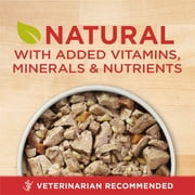 (4 pack) Purina ONE Natural Wet Dog Food, High Protein Soft Chicken & Brown Rice, 13 oz Can