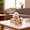 A, variant on Horse Figurine Soft PP Cotton Sculpture Collectible Chinese Decoration For Home Shelf Desk Cute Horse Statue For Lovers Animal Enthusiasts & Festival Celebrations Lightweight