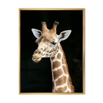 Designart 'Close Up Portrait Of A Giraffe On Black III' Farmhouse Framed Canvas Wall Art Print
