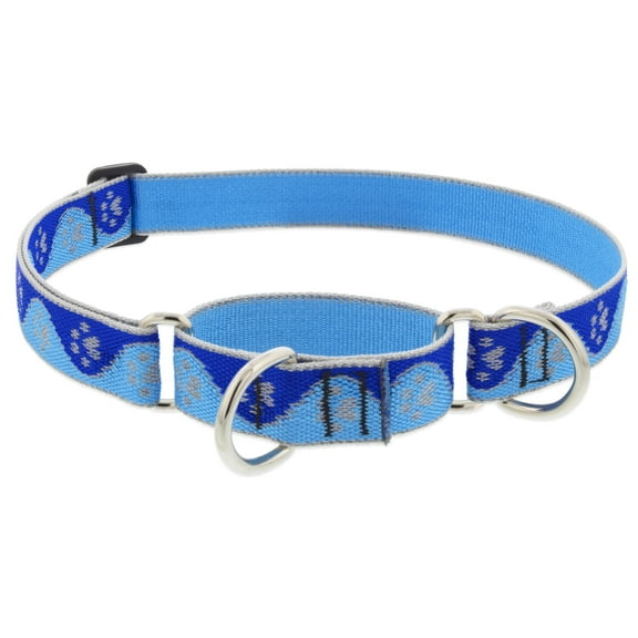 Lupine Reflective Martingale Dog Collar 1" Wide Blue Paws Adjusts from 15" to 22"