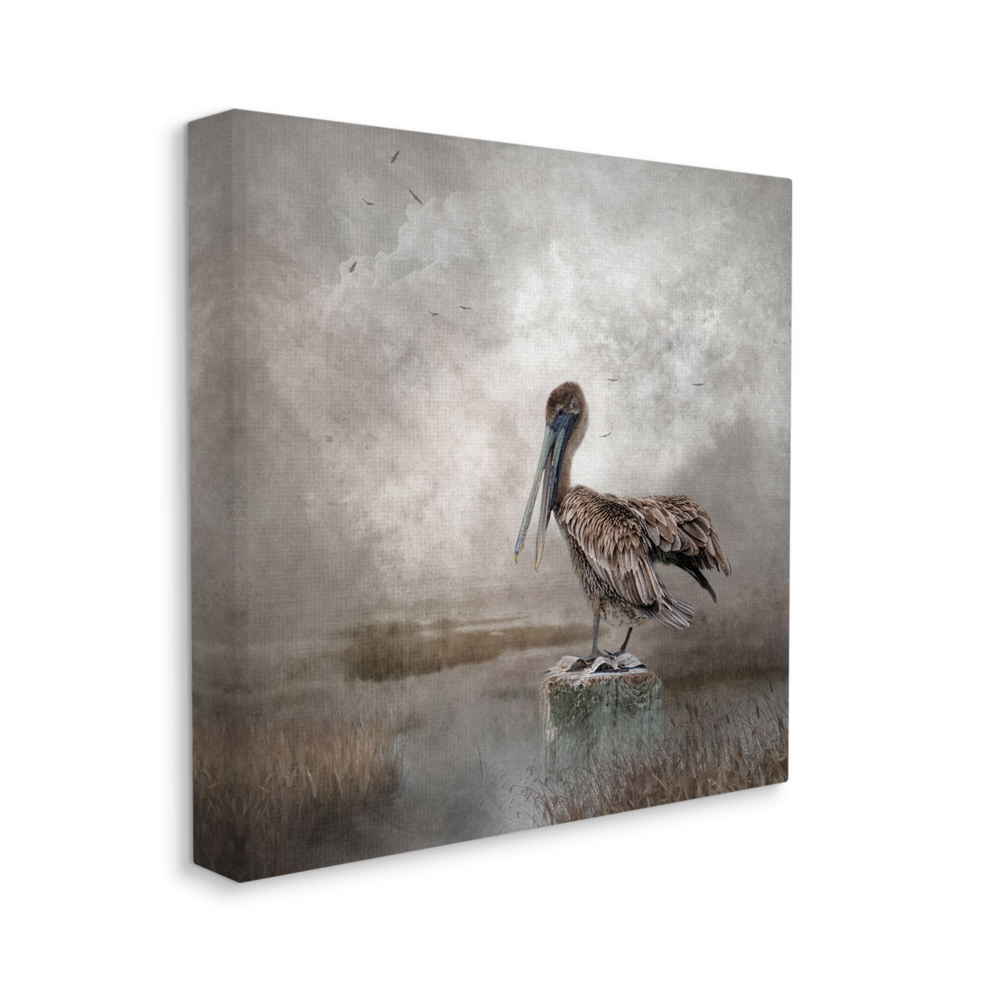 Stupell Pelican Bird Waterside Marsh Animals & Insects Photography Gallery Wrapped Canvas Print Wall Art