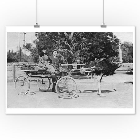 Los Angeles, CA Ostrich Farm Cart Scene Photograph (9x12 Art Print, Wall Decor Travel Poster)