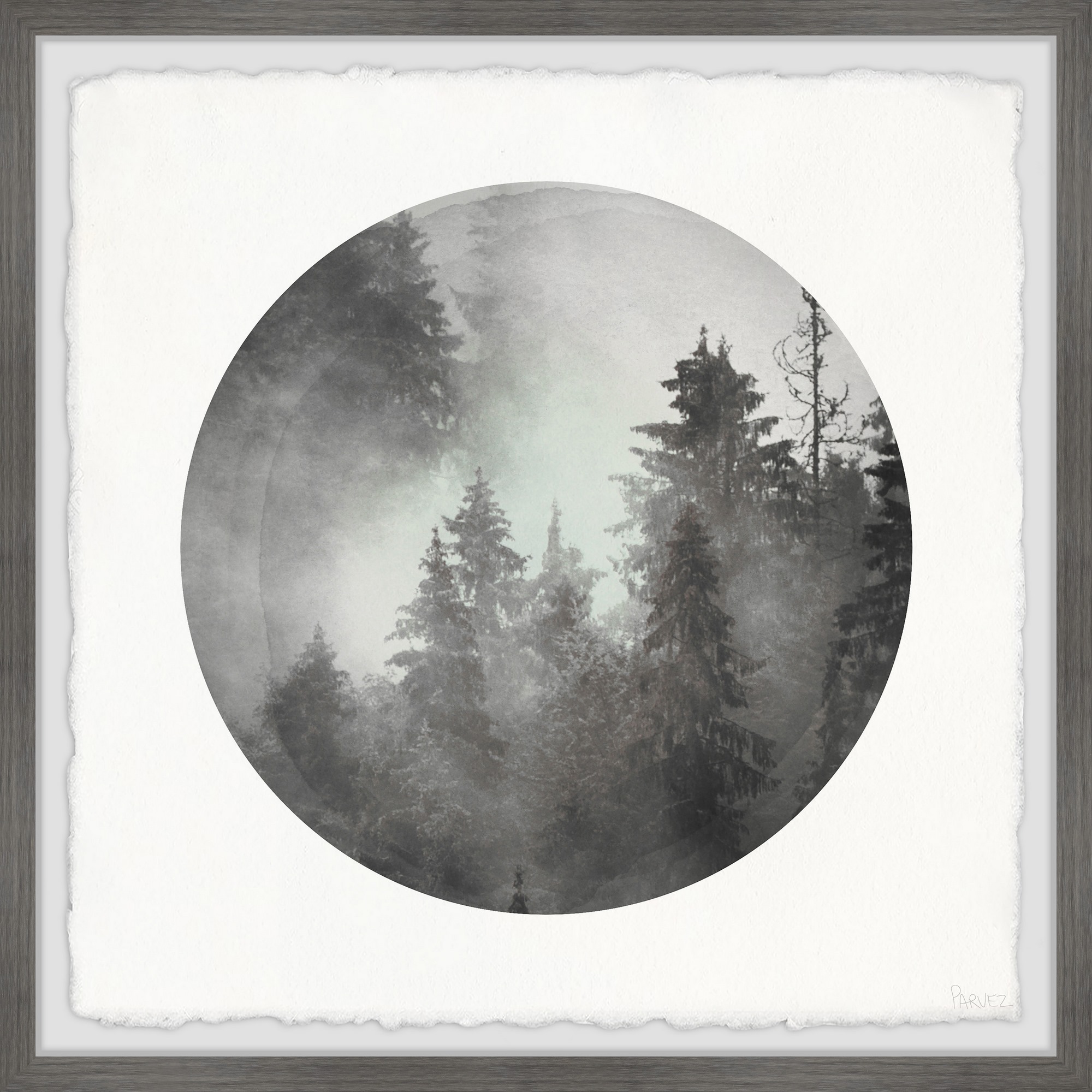 Parvez Taj Dark Foggy Forest Framed Wall Art, 18" x 18"