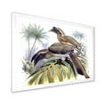 thumbnail image 2 of Designart 'Ancient Australian Birds XIV' Traditional Framed Art Print, 2 of 4