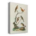 thumbnail image 2 of Antique Birds in Nature IV Premium Gallery Wrapped Canvas - Ready to Hang, 2 of 9