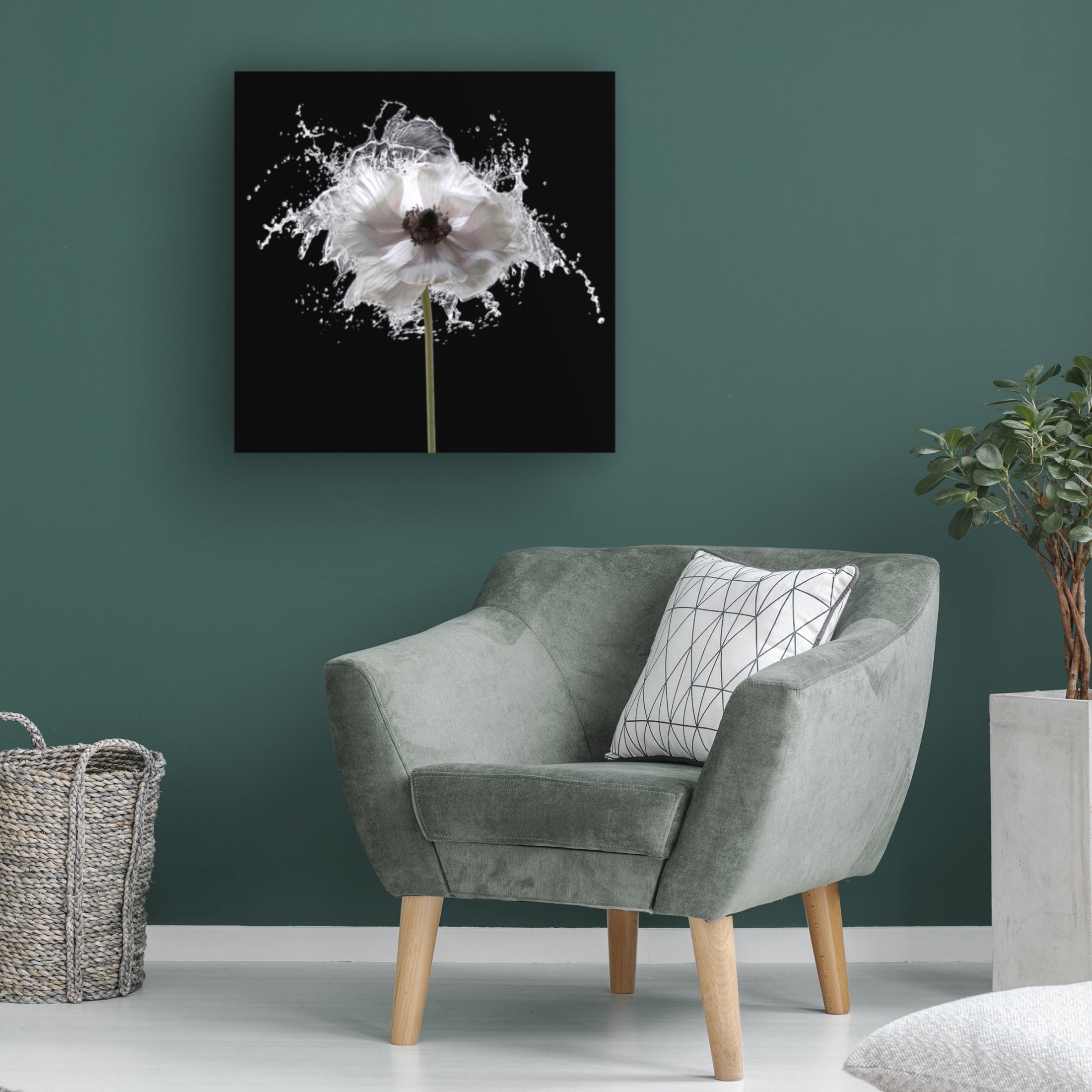 Canvas Wall Art - Tom Quartermaine 'Splash Floral' Wall Art for Living Room, Bedroom, or Office Décor by Trademark Fine Art - 24 x 24 Inches